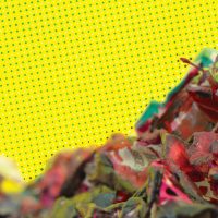 MKE Music Rewind: Faux Fir, ‘Fashionable Life’ (2013) — Milwaukee Record